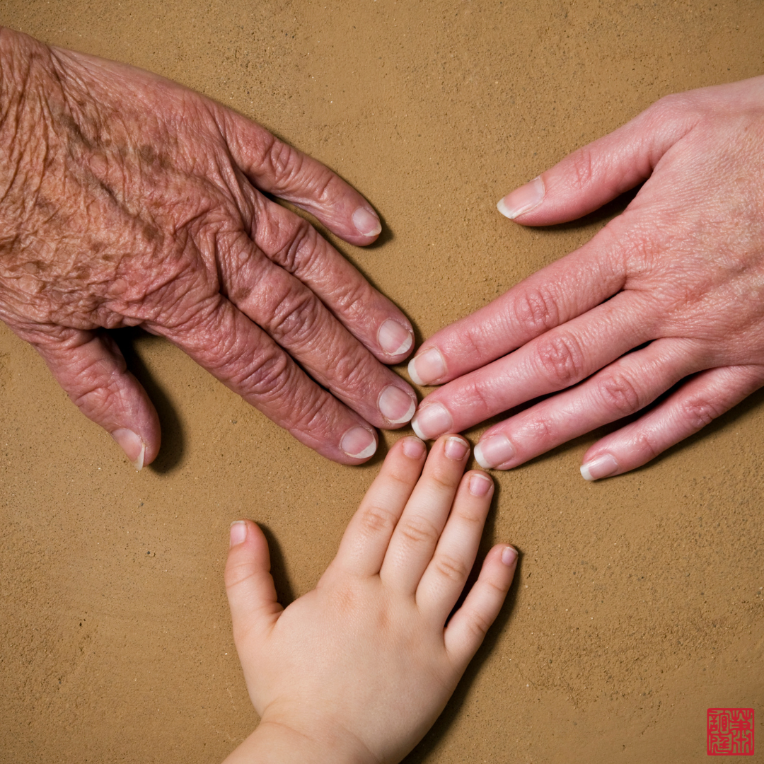 Three different hands, from an elderly, adult, and a child. This image represents generation