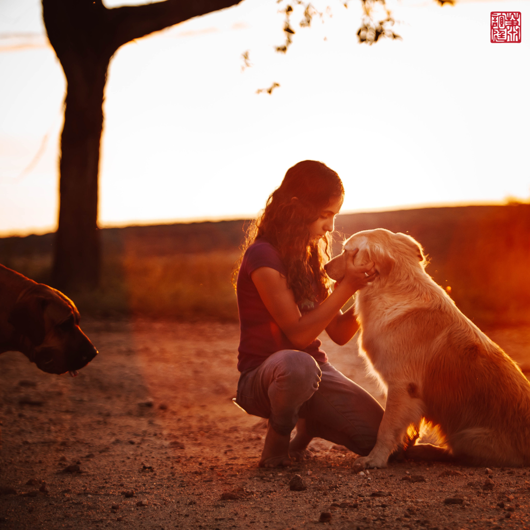 a girl holding her dog's face while sun sets