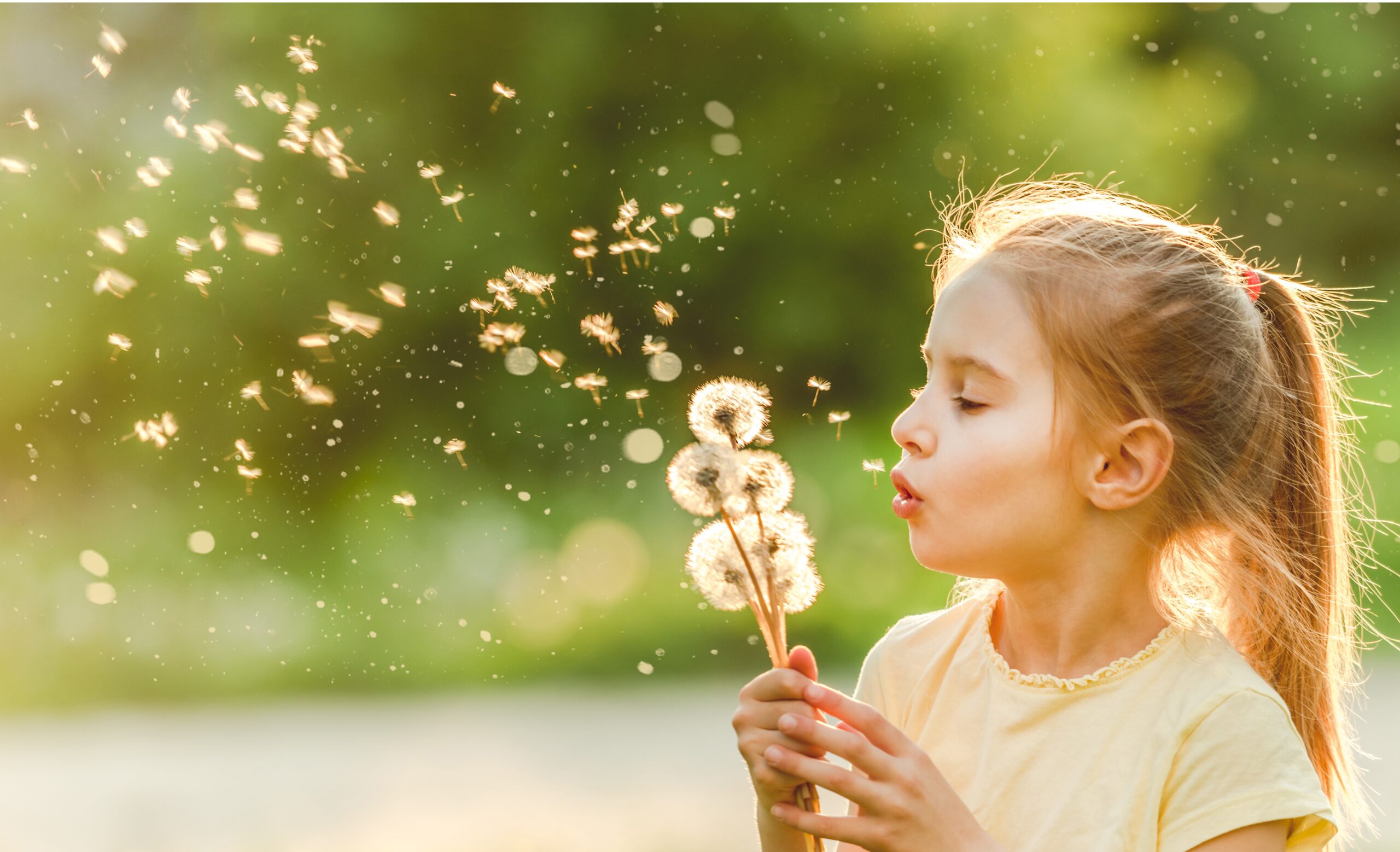 Girl playing with dandelions